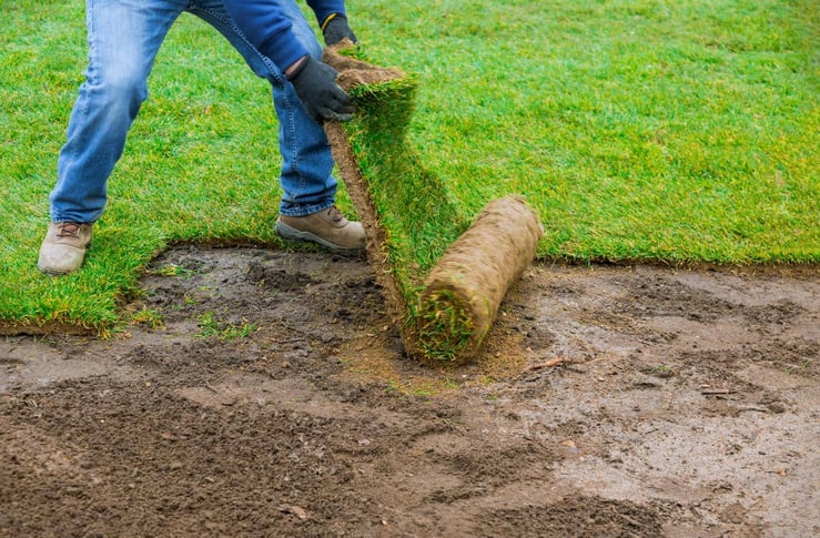 AdobeStock photo of a person laying sod in a yard