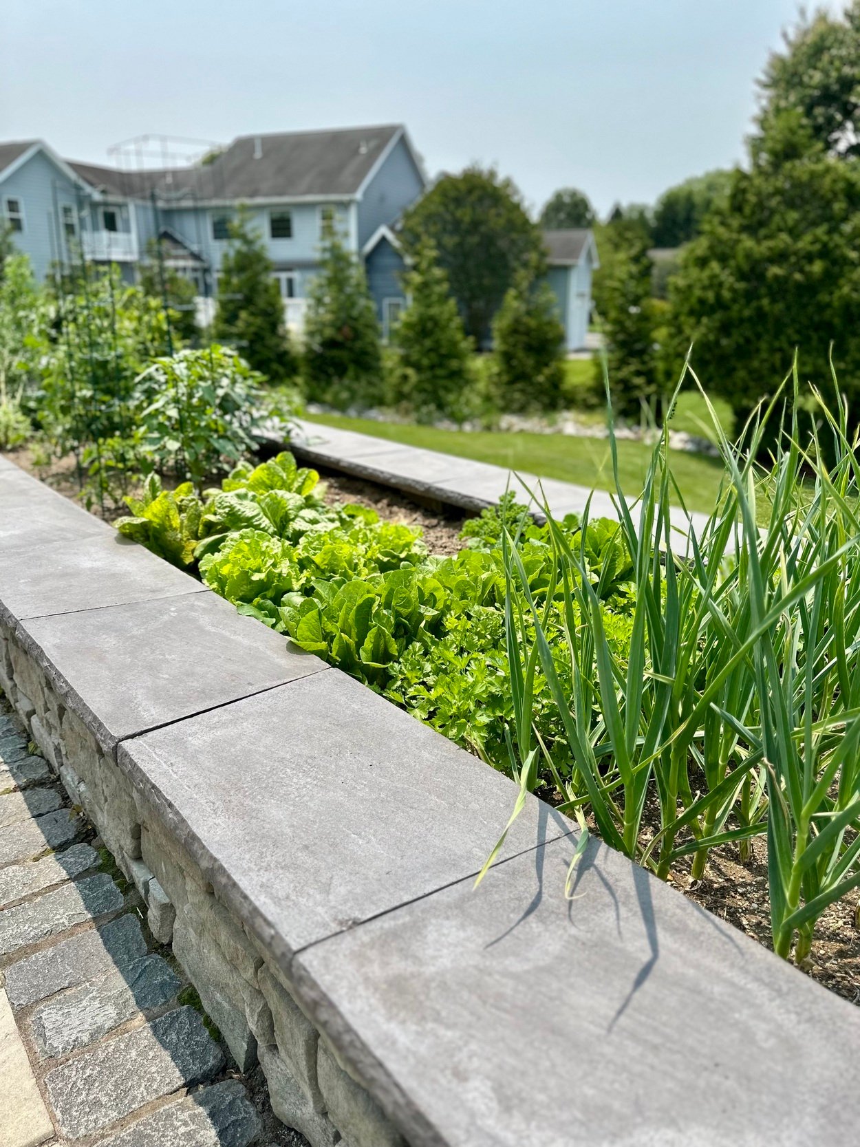 Raised garden bed with fresh vegetables in an outdoor living project in Newark, DE